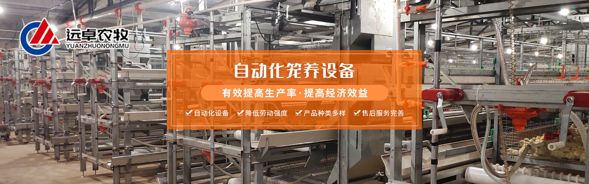 蛋鸡养殖未来前景在哪里?智能化养殖将成为行业趋势